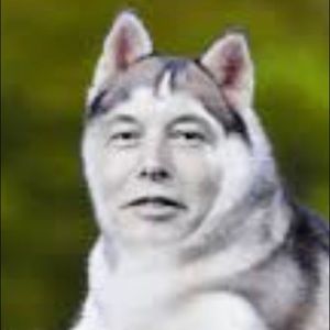 Meet your Posher, Shelly